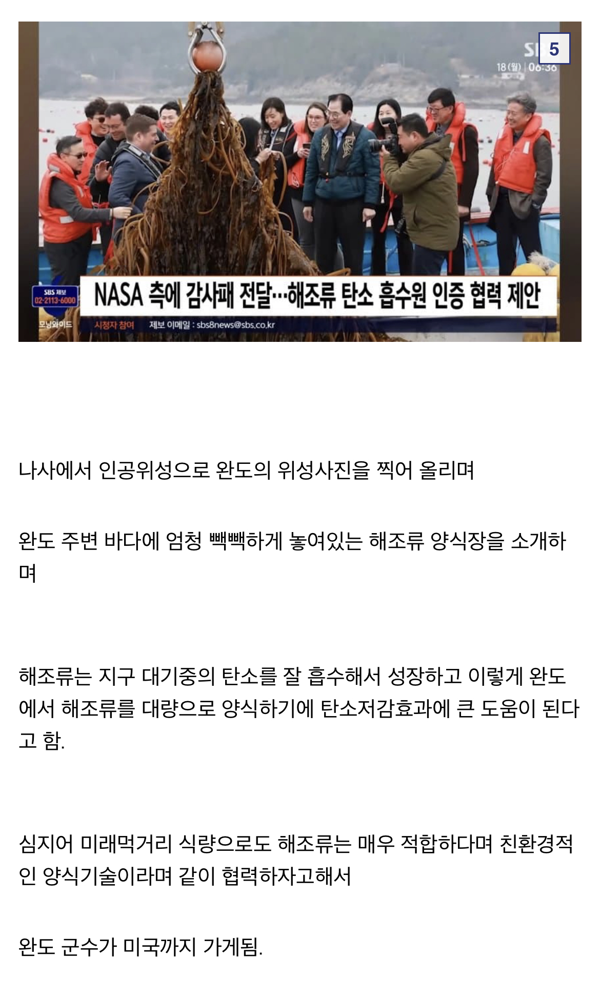 나사에서 주목하는 완도.jpg | 인스티즈