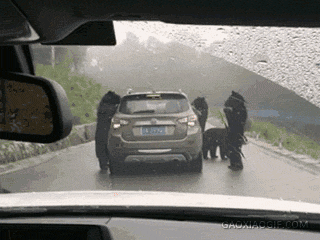 호객행위가 심하네요; | 인스티즈