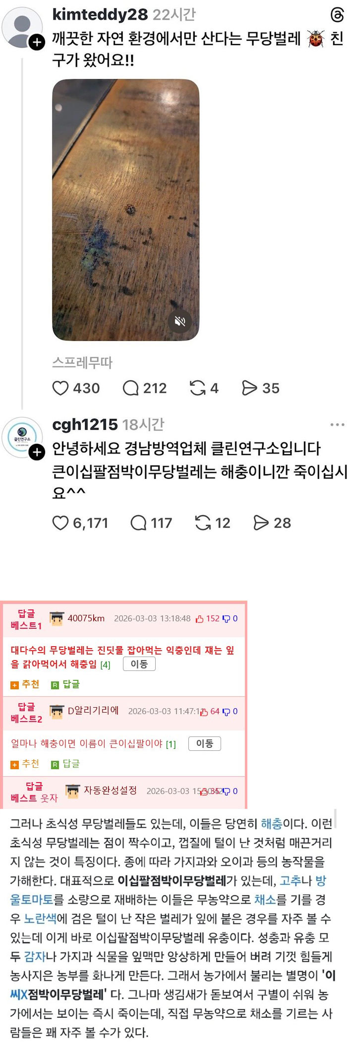 무당벌레 친구가 왔어염~ | 인스티즈