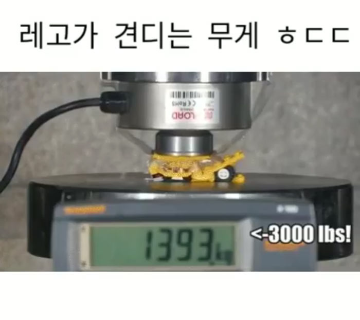 레고가 견디는 무게 | 인스티즈