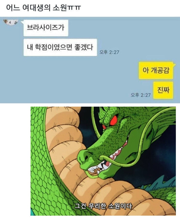 어느 여대생의 소원 | 인스티즈