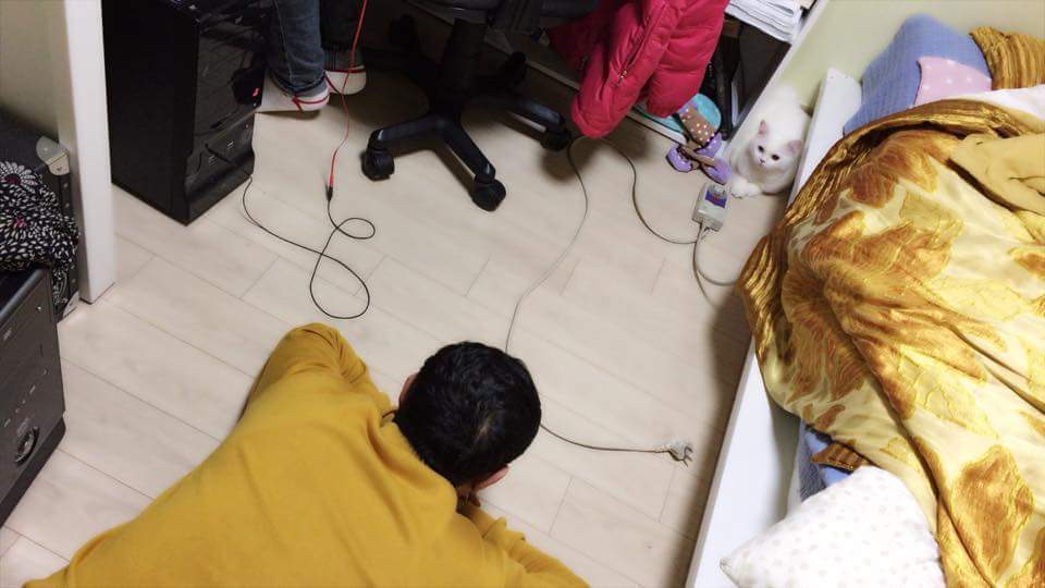 고양이 싫다던 아버지 | 인스티즈