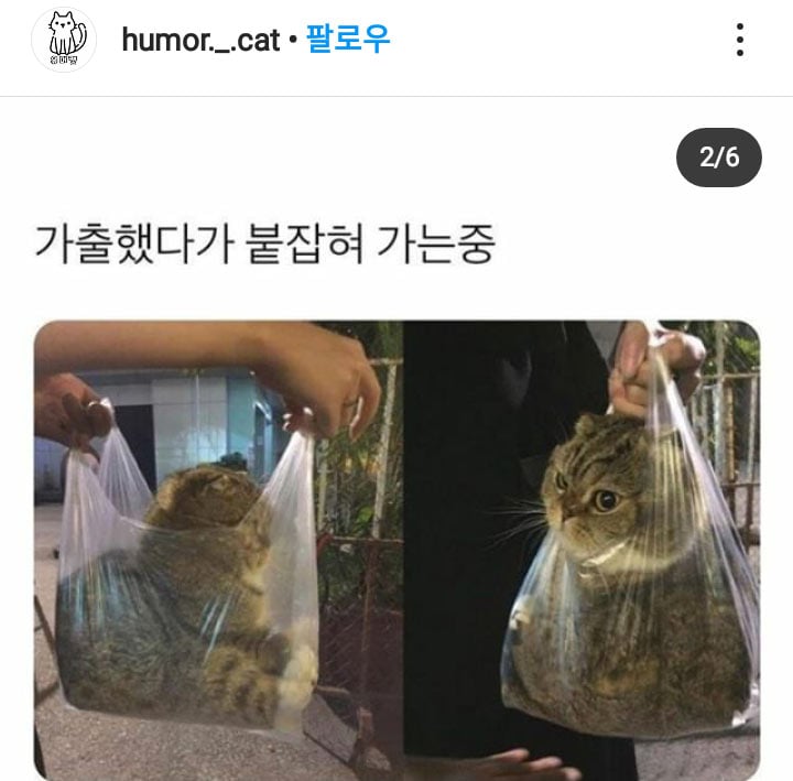 가출했다 잡혀가는 중 | 인스티즈