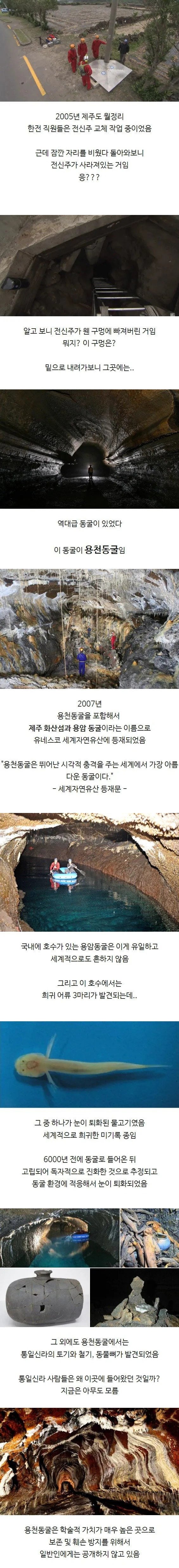 역대급 발견된 동굴과 희귀어류 | 인스티즈