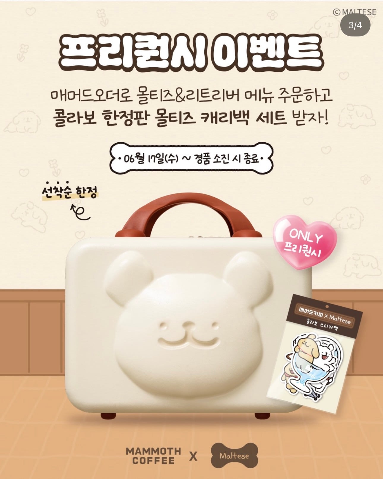 매머드커피 6/17 나온 신메뉴 | 인스티즈