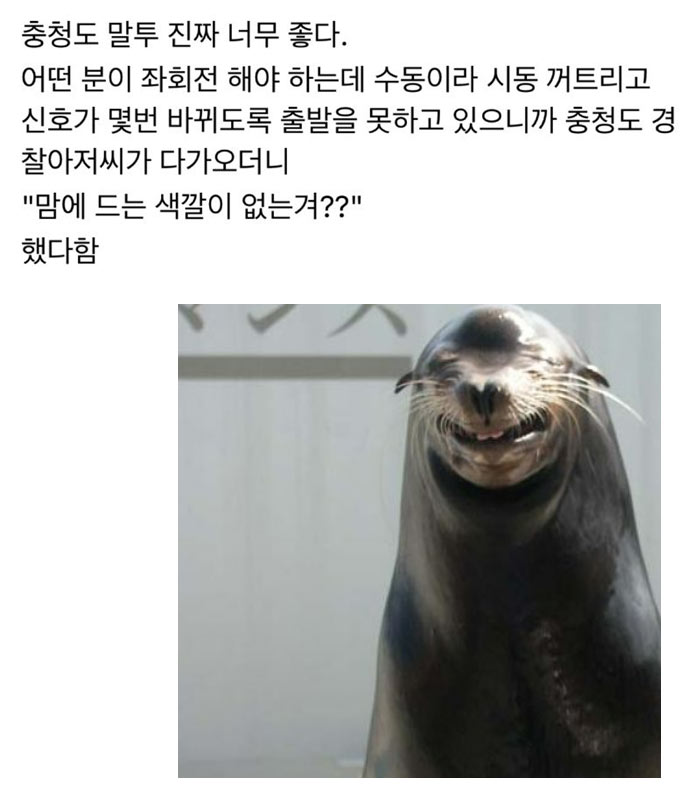 충청도 말투 너무 좋다 | 인스티즈