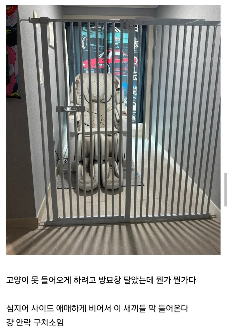 안마의자를 샀다 | 인스티즈