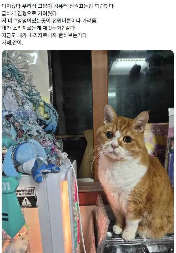 집사 괴롭히는 법을 알아냈다 | 인스티즈