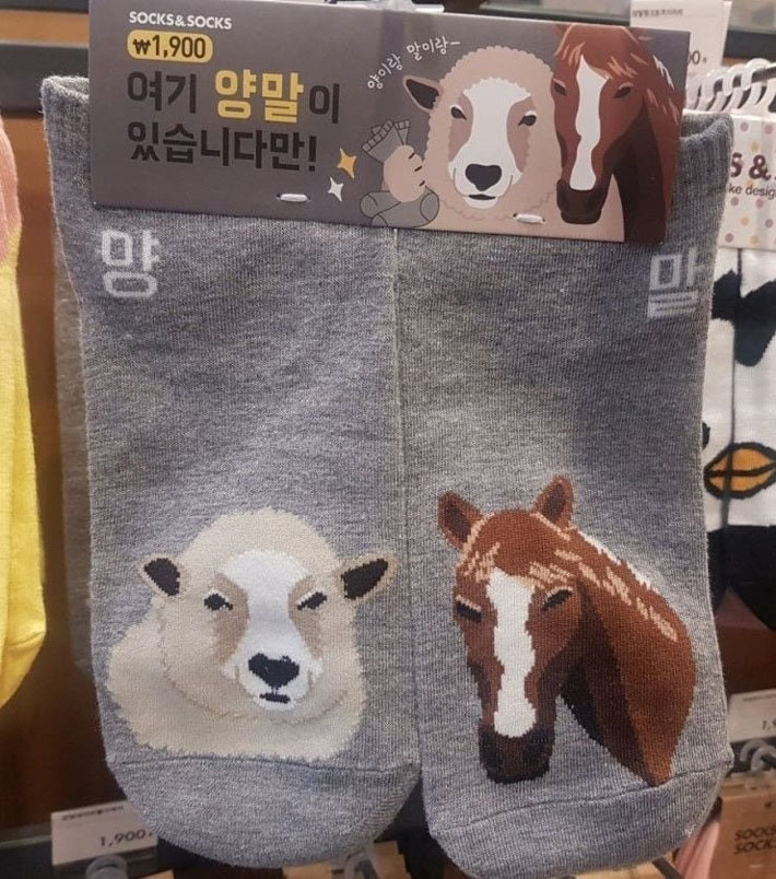 양말 | 인스티즈