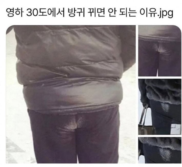 영하 30도에서 방귀 뀌면? | 인스티즈