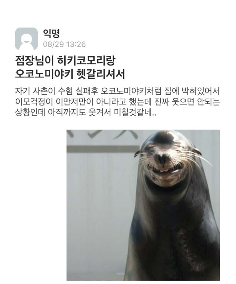 오코노미야키 사촌 | 인스티즈