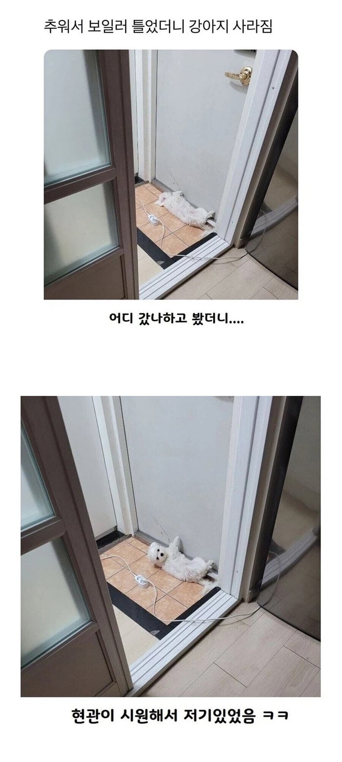 추워서 보일러를 틀었더니 | 인스티즈