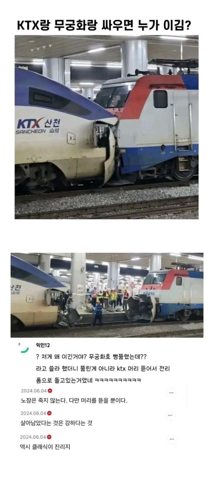 KTX vs 무궁화호 | 인스티즈
