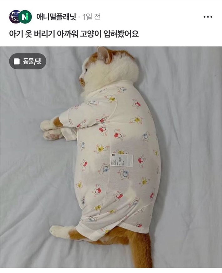 아기옷 버리기 아까워서 | 인스티즈