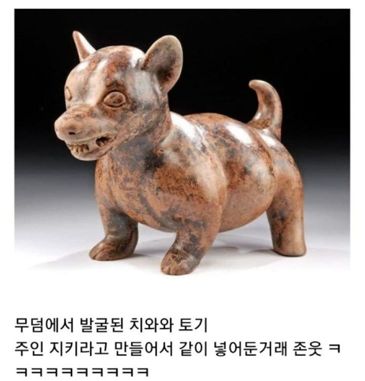 무덤에서 발견된 치와와 토기 | 인스티즈