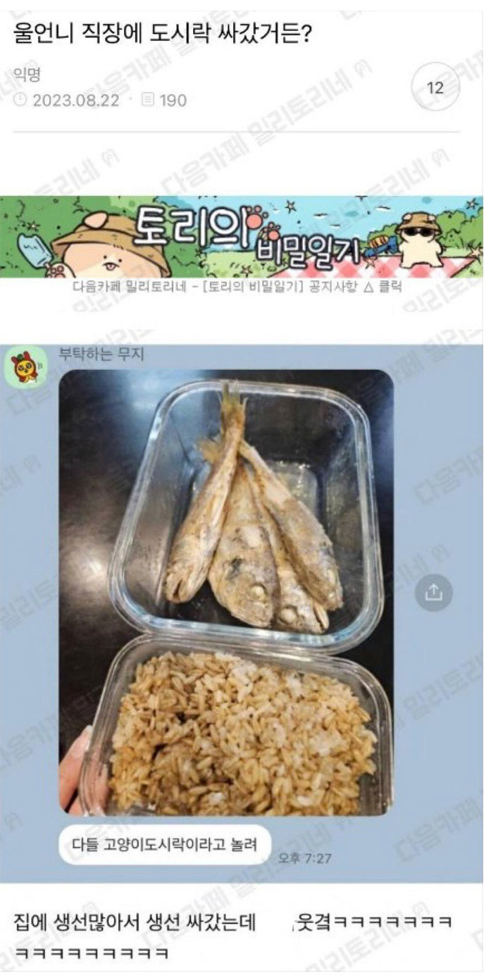 놀림 당한 도시락 | 인스티즈