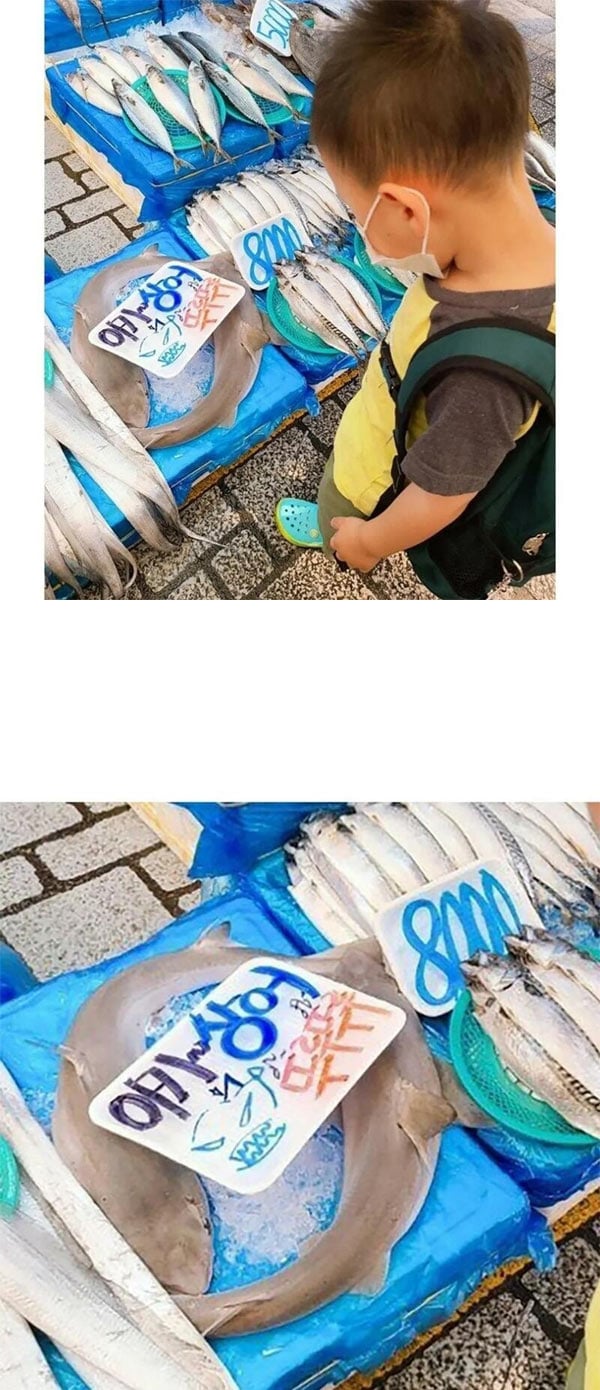 수산시장 동심파괴 | 인스티즈