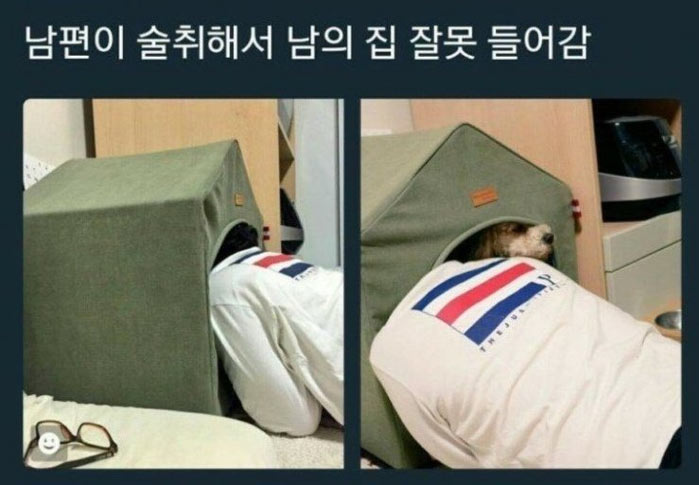 술 먹은 남편 남의집에 들어감 | 인스티즈
