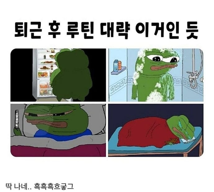 직장인 퇴근 후 루틴 | 인스티즈