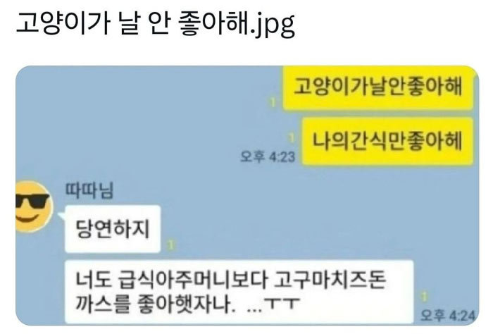 고양이가 날 좋아하지 않는 이유 | 인스티즈
