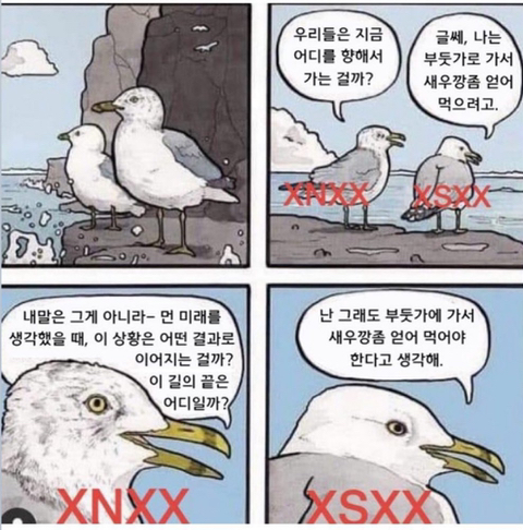 mbti N이랑 S가 대화 잘 안 통하는 이유.jpg | 인스티즈