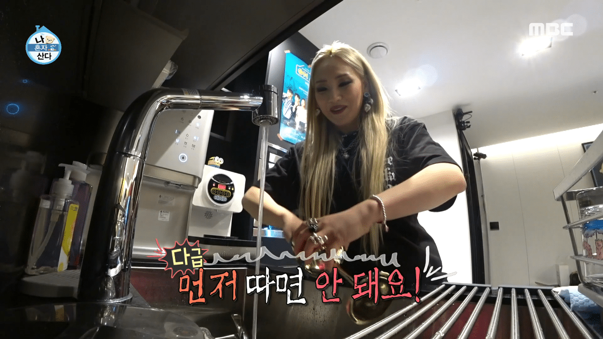 알고 보니 유해진-겨울이(반려견) 관계였던 CL-산다라박 | 인스티즈