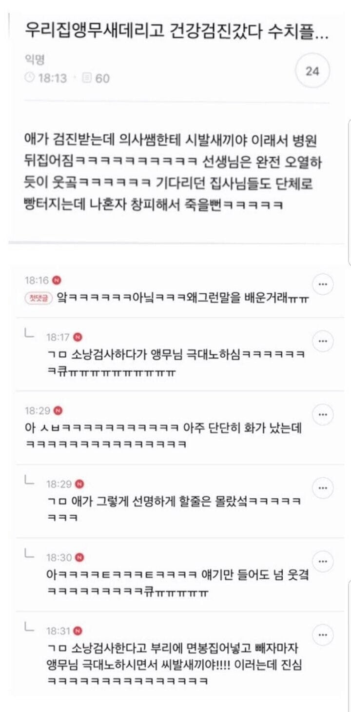 우리집 앵무새 건강검진 | 인스티즈