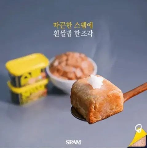따끈한 스팸에 흰 쌀밥 한 조각 | 인스티즈