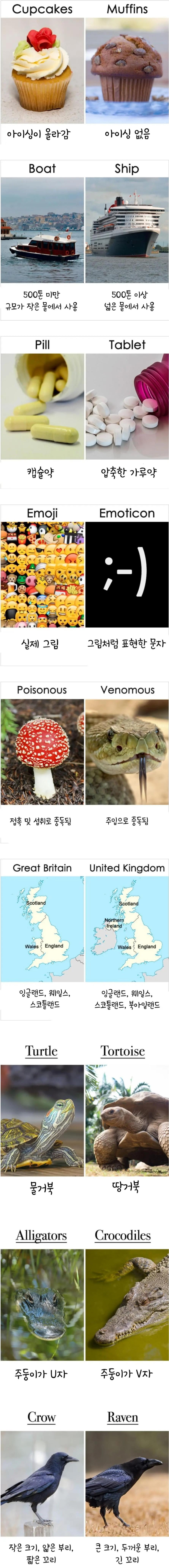 알쏭달쏭 영어 | 인스티즈