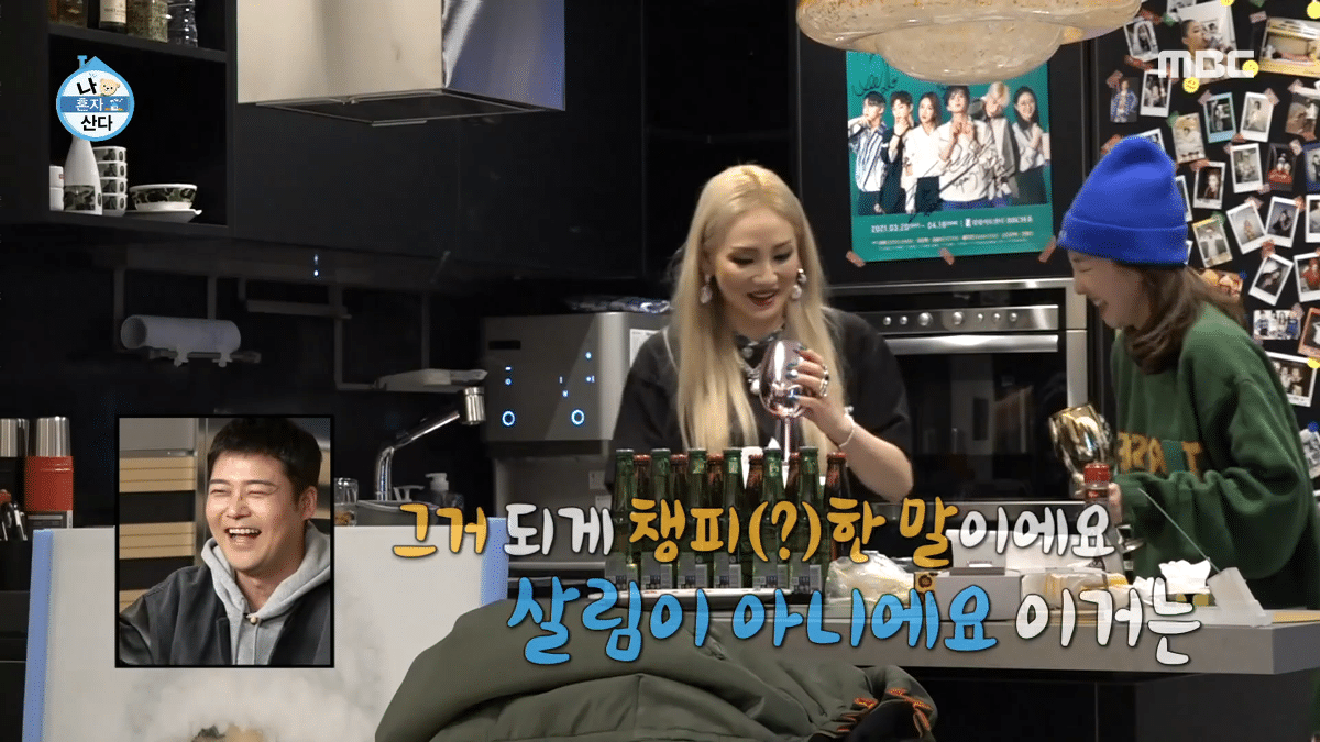 알고 보니 유해진-겨울이(반려견) 관계였던 CL-산다라박 | 인스티즈