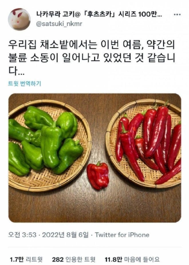 채소밭의 불륜 | 인스티즈