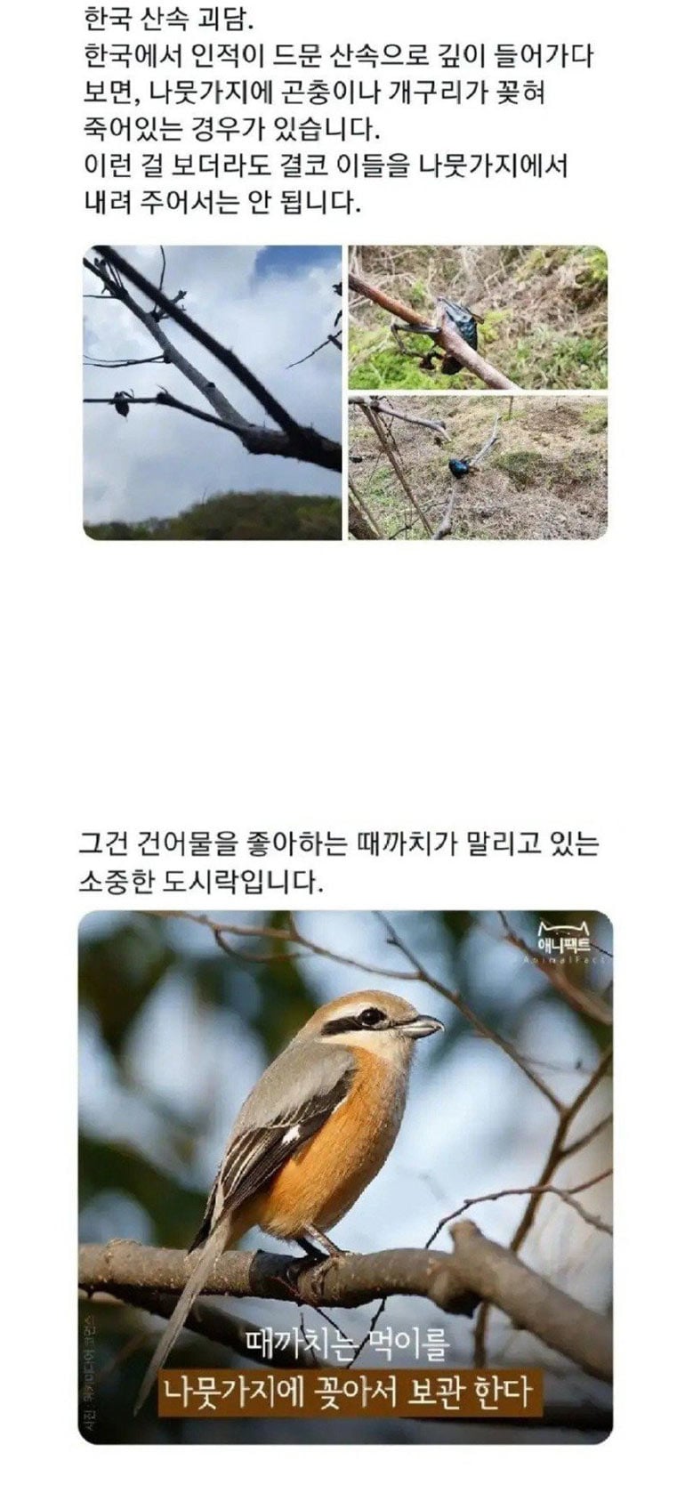 한국 산속 괴담 | 인스티즈