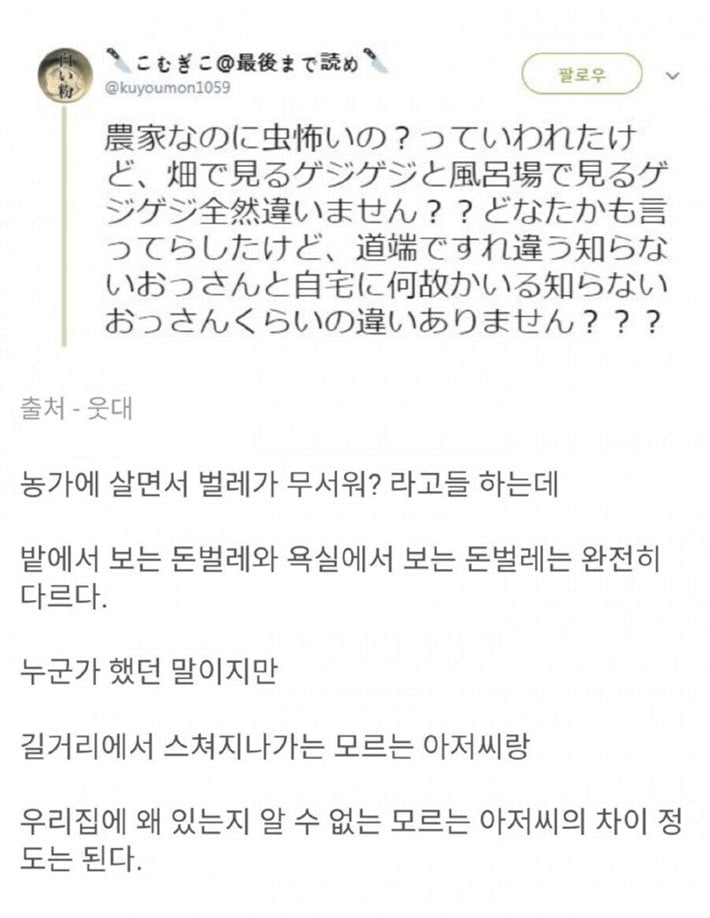 시골에서 벌레가 무서운 이유 | 인스티즈