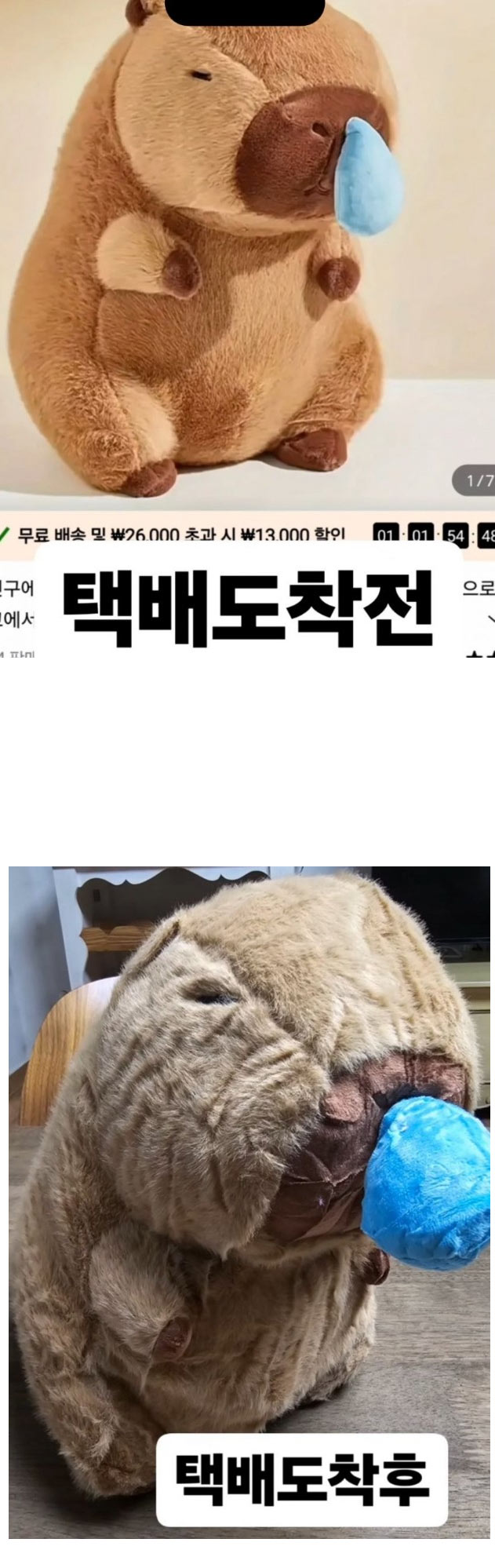 테무 인형 산 후기 | 인스티즈