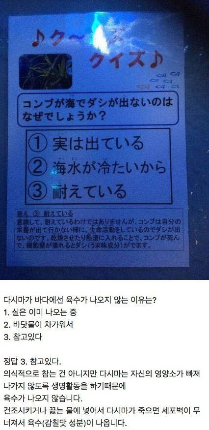 바다에 있는 다시마에서 육수가 나오지 않는 이유 | 인스티즈