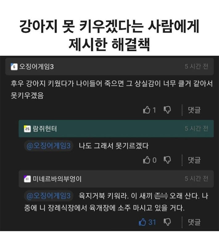 강아지 나이 들어 죽을까봐 못 키우겠다는 사람 | 인스티즈