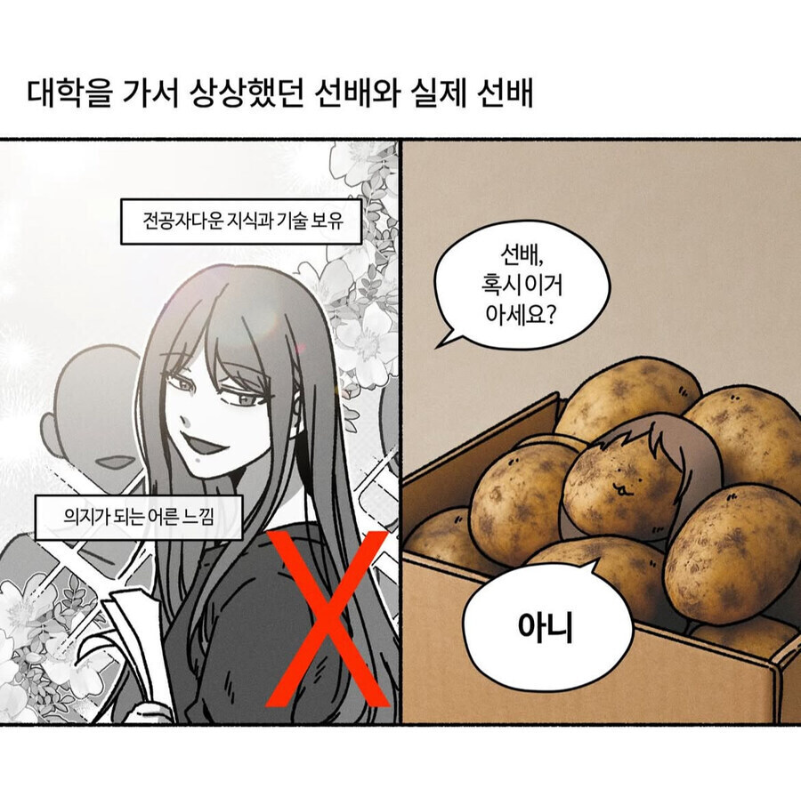 대학 가며 상상했던 선배와 실제 선배.jpg | 인스티즈