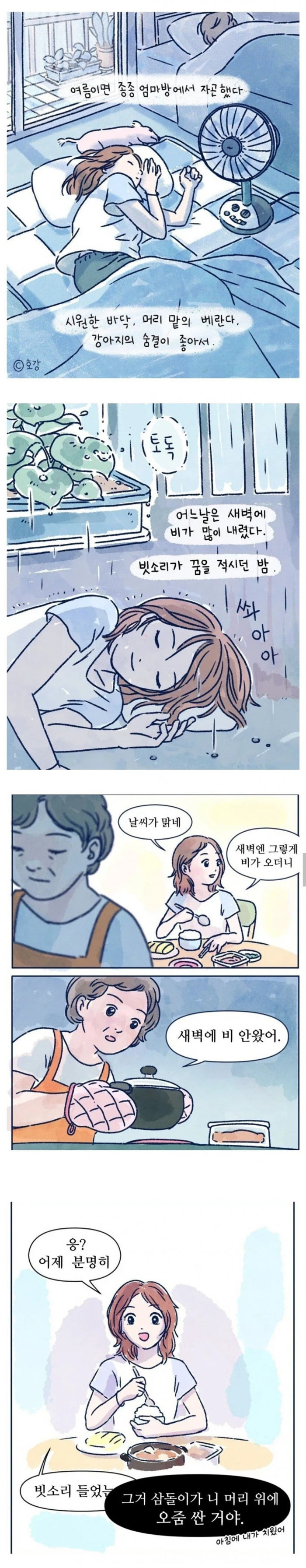 빗소리가 꿈을 적시던 밤 | 인스티즈