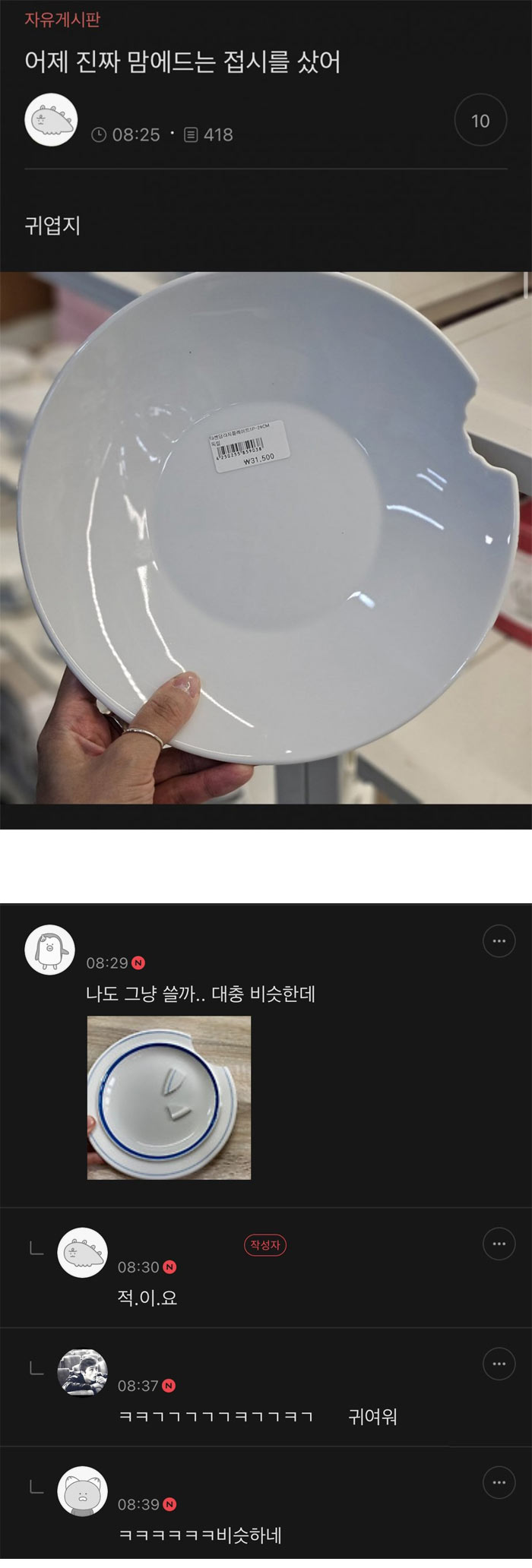 진짜 맘에 드는 접시를 샀어 | 인스티즈