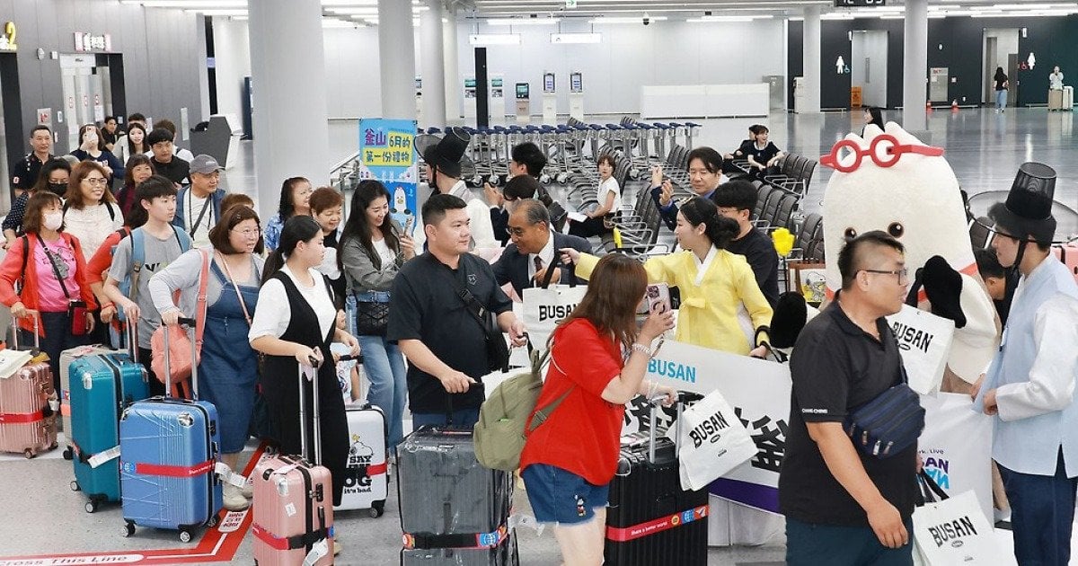 "피부과 들렀다 올영 싹쓸이”…부산 서면 점령한 '대만 큰손들' | 인스티즈