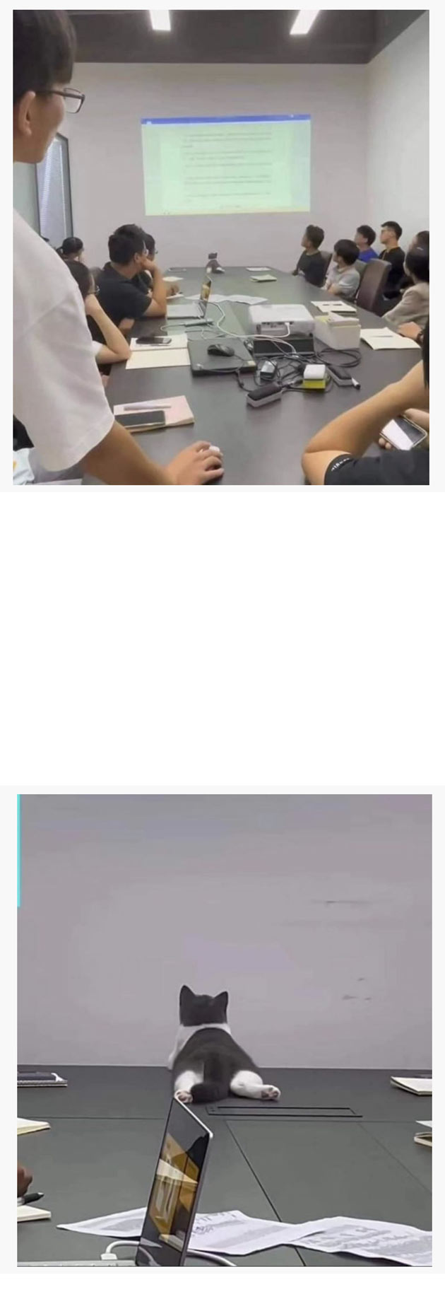 누가 회의중에 그런 자세를 | 인스티즈