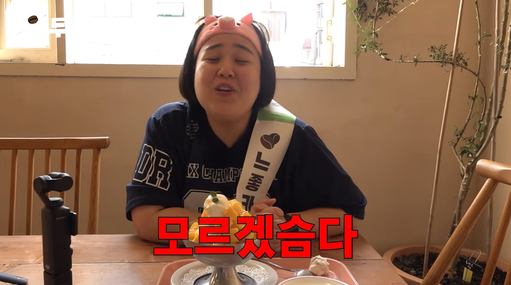 요즘 카페 망고빙수 가격 수준.jpg | 인스티즈
