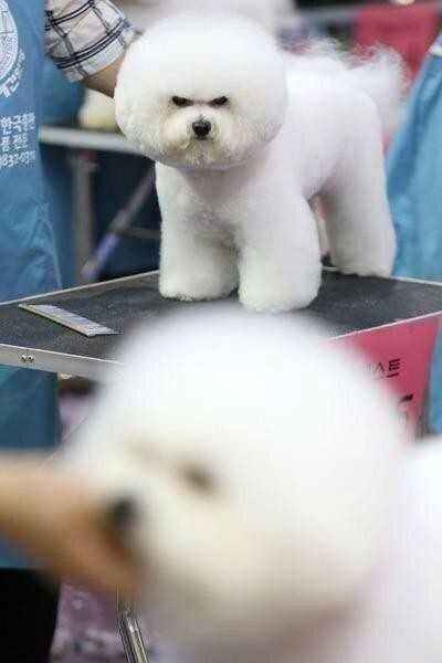 쟤보다 이쁘게 해주세요 | 인스티즈