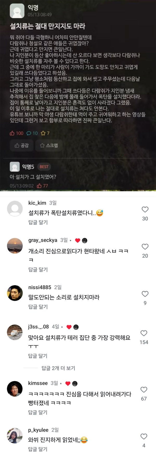 설치류 절대 만지지 마셈 | 인스티즈