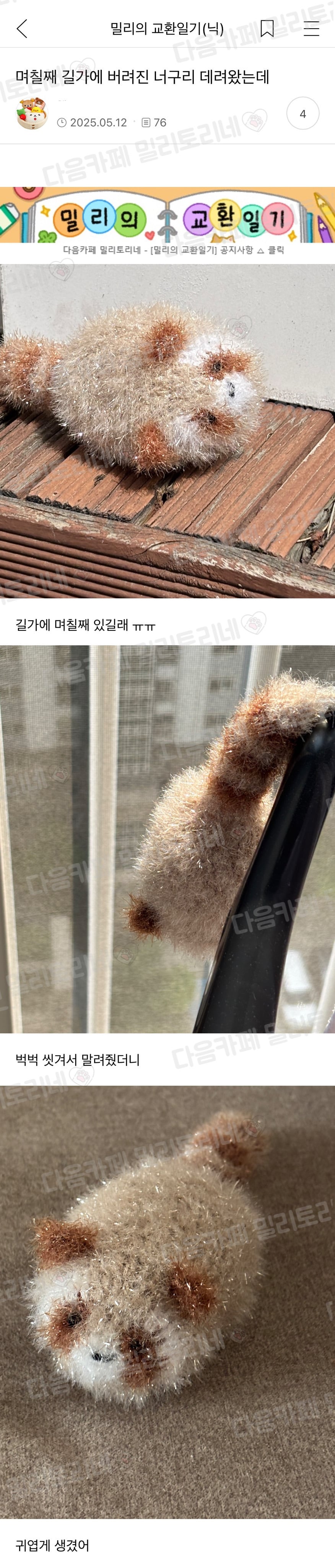 며칠째 길가에 버려진 너구리 데려왔는데 | 인스티즈
