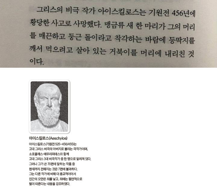 뭔가 황당한 죽음 | 인스티즈