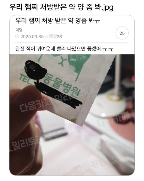 처방 받은 햄스터 약 | 인스티즈