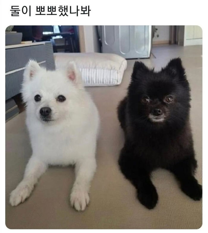 둘이 뽀뽀했나봐 | 인스티즈