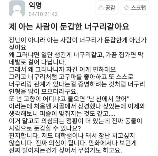 둔갑한 너구리 제보 | 인스티즈