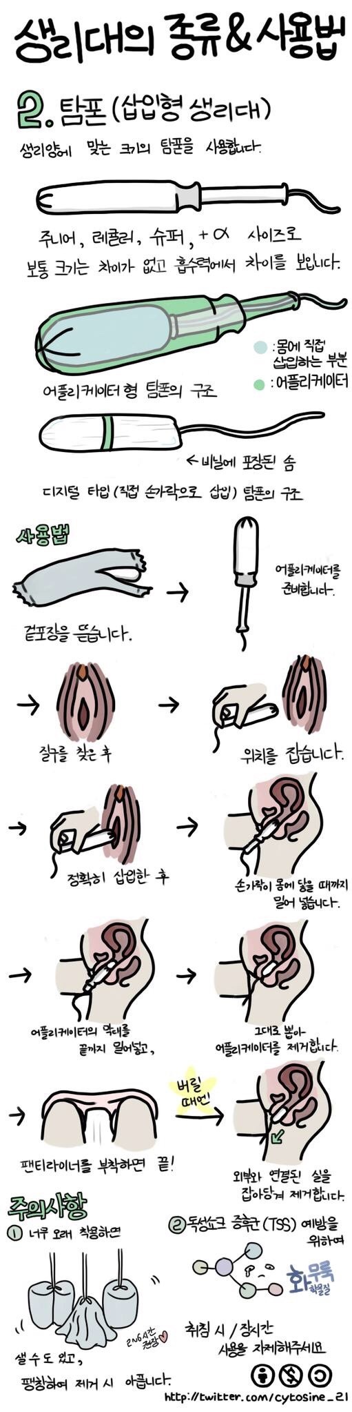 생식기의 구조/패드형 생리대/삽입형 생리대/생리컵 사용법 모음 | 인스티즈